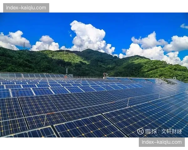 供应商联盟推动服务标准统一化 促进整个生态协同效率提升