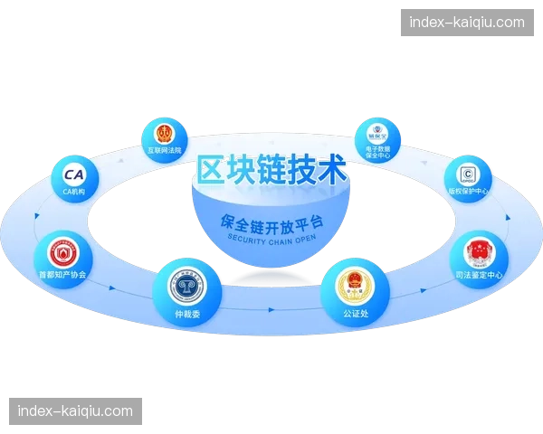 区块链应用由概念验证转向版权存证实践 保障创作源头可信