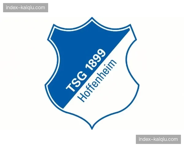 霍芬海姆女总监谈球队经营:健康财政是长期竞争力的基础 霍芬海姆女总监谈球队经营:健康财政是长期竞争力的基础